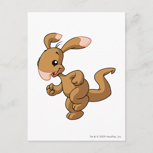 Blumaroo Brown Postkarte (Vorderseite)