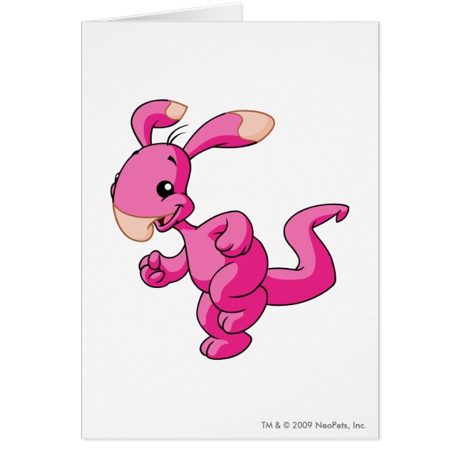 Blumaroo Rosa (Vorne)