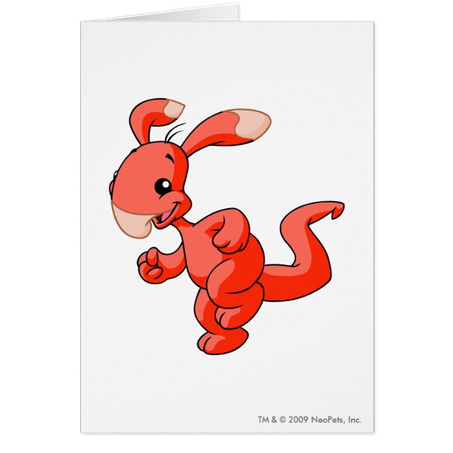 Blumaroo Rot (Vorne)