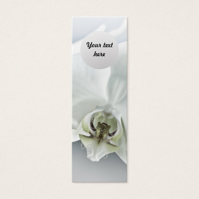 Blume (Vorderseite)