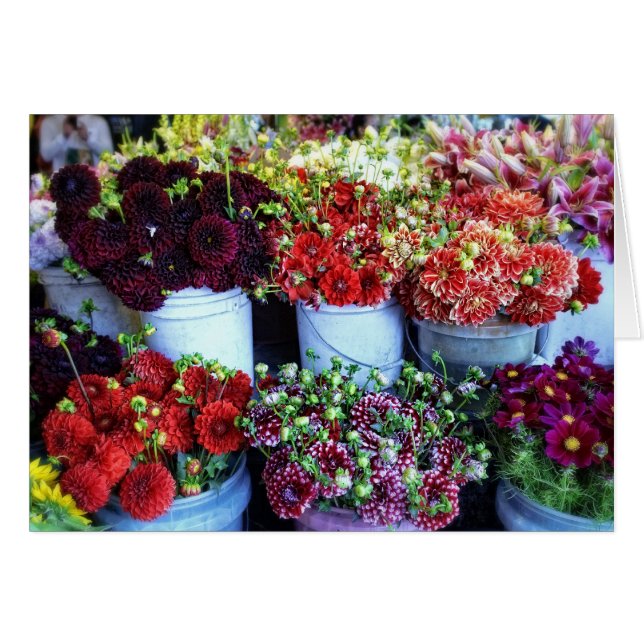 Blume (Vorderseite (Horizontal))