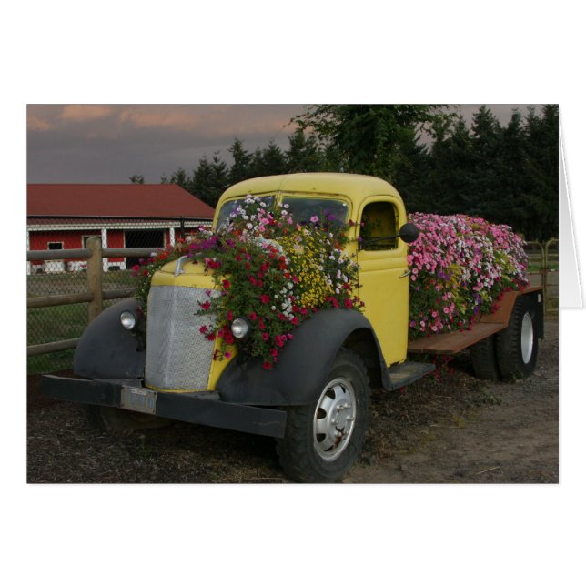 Blume (Vorderseite (Horizontal))