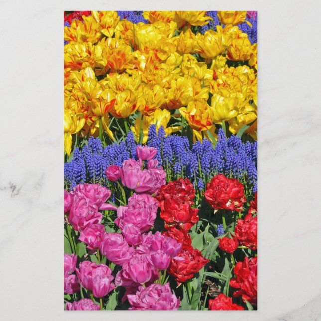Blume (Vorderseite)