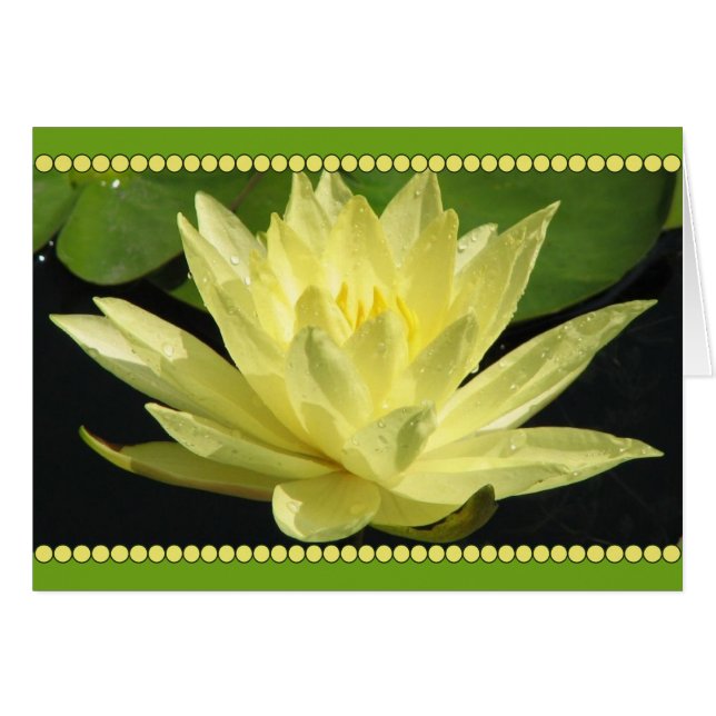 Blume (Vorderseite (Horizontal))
