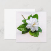 Blume (Vorne/Hinten)