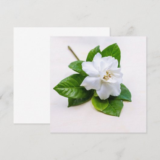 Blume (Vorne/Hinten)