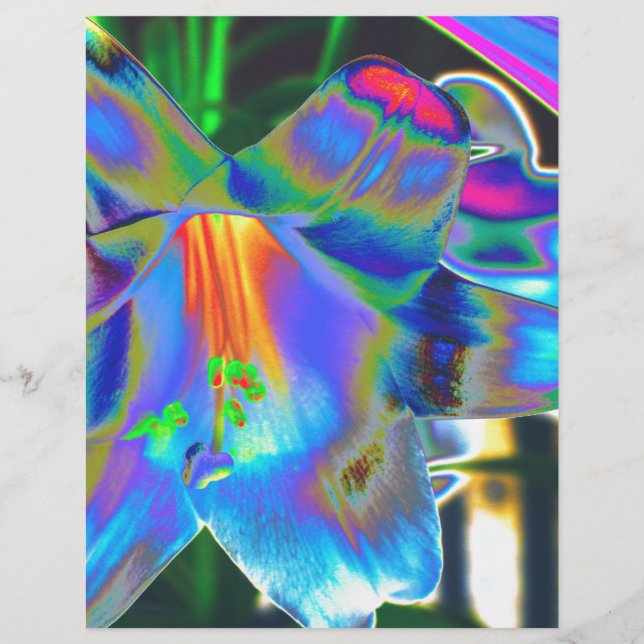 Blume (Vorderseite)