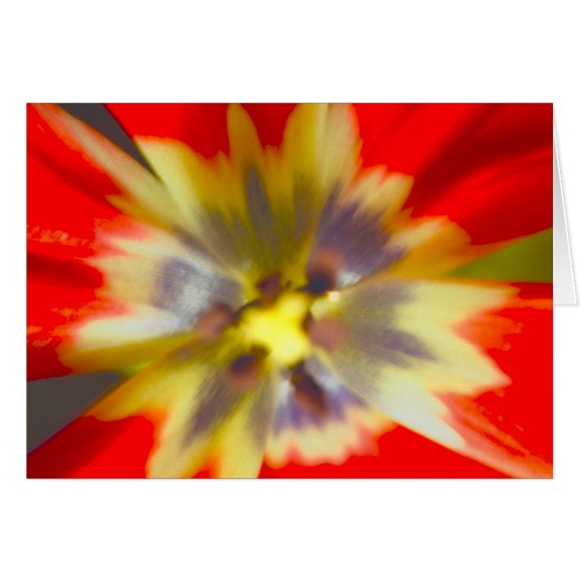 Blume (Vorderseite (Horizontal))