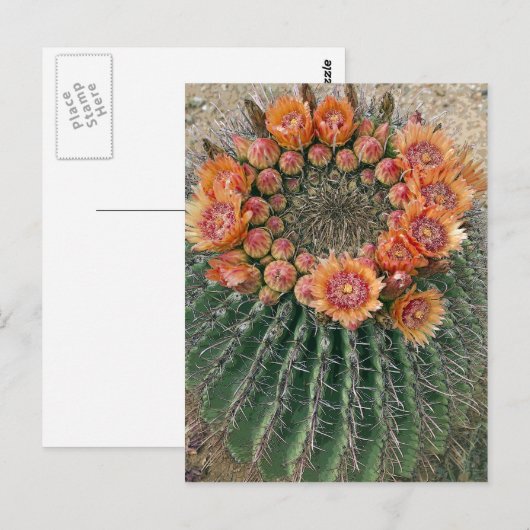 Blume 002d postkarte (Vorne/Hinten)