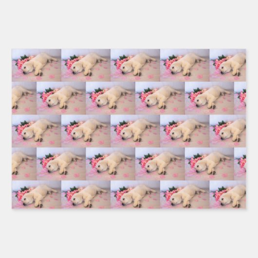 Blume 01 geschenkpapier set (Vorderseite 3)