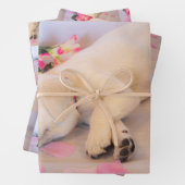 Blume 01 geschenkpapier set (Beispiel)