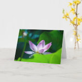 Blume #0417 karte (Gelbe Blume)