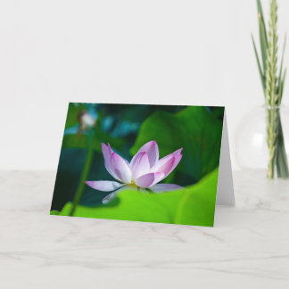 Blume #0417 karte