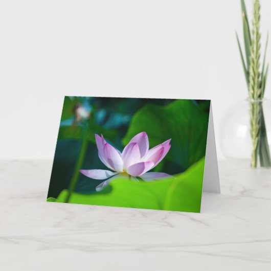 Blume #0417 karte (Vorderseite)