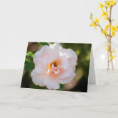 Blume #0724 karte (Gelbe Blume)