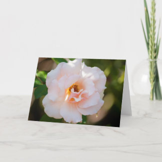 Blume #0724 karte