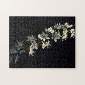 Blume 11x14 252pc jpcnm puzzle (Horizontal)