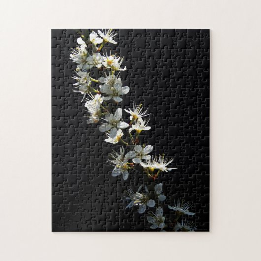 Blume 11x14 252pc jpcnm puzzle (Vertikal)