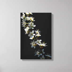 Blume 11x16,5 (27,5x41,25cm) waccn leinwanddruck