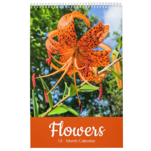 BLUME 12 Monate Schöne Blumenpracht Kalender