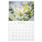 BLUME 12 Monate Schöne Blumenpracht Kalender (Jan 2026)