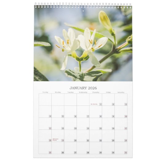 BLUME 12 Monate Schöne Blumenpracht Kalender (Jan 2026)