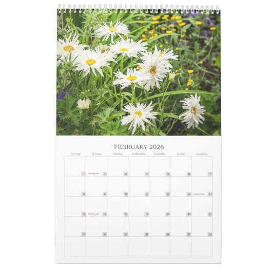 BLUME 12 Monate Schöne Blumenpracht Kalender (Feb 2026)