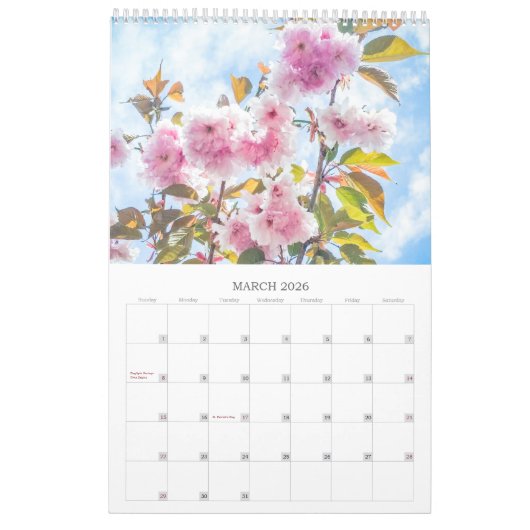 BLUME 12 Monate Schöne Blumenpracht Kalender (Mär 2026)
