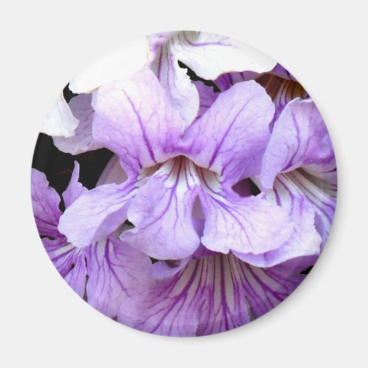 Blume #13 magnet (Vorne)