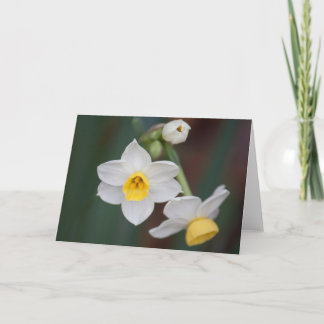 Blume #1579 karte
