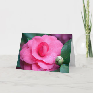 Blume #1657 karte