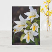 Blume #1668 karte (Gelbe Blume)