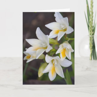 Blume #1668 karte