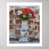 Blume 16x20 Poster mit Rand (Vorne)