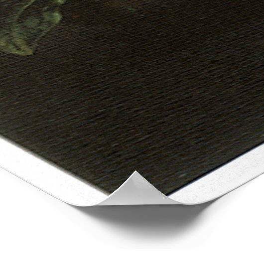 Blume, 1701 poster (Ecke)