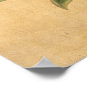 Blume, 1835 poster (Ecke)