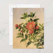Blume, 1835 postkarte (Vorne/Hinten)