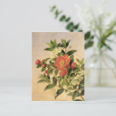 Blume, 1835 postkarte (Stehend Vorderseite)