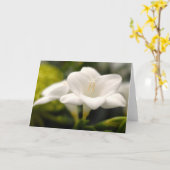 Blume (#1) karte (Gelbe Blume)