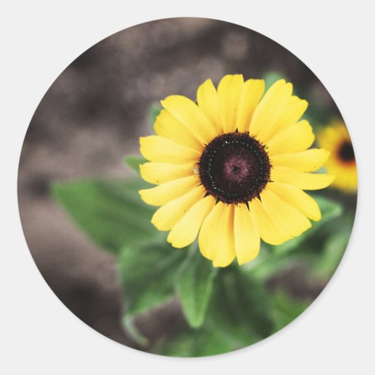 BLUME 1 RUNDER AUFKLEBER (Vorderseite)