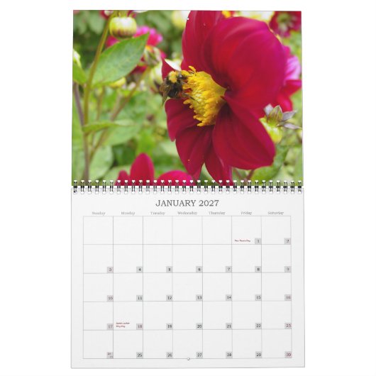 Blume 2007 kalender (Jan 2027)