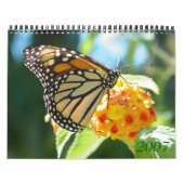 Blume 2007 kalender (Titelbild)