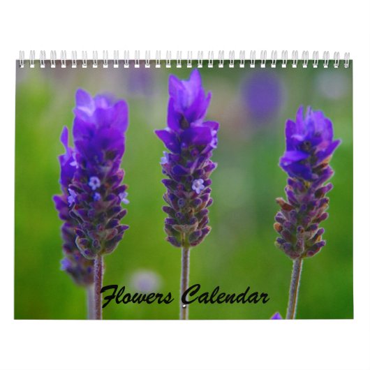 Blume 2009 kalender (Titelbild)