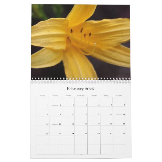 Blume 2009 kalender (Feb 2026)