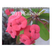 Blume 2011, kalender (Titelbild)