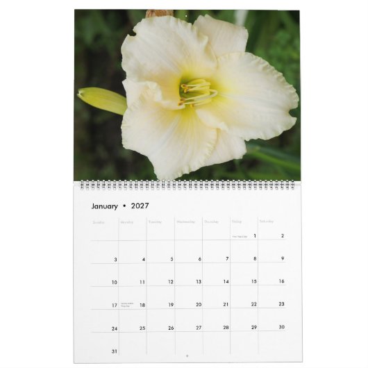 Blume 2011 kalender (Jan 2027)