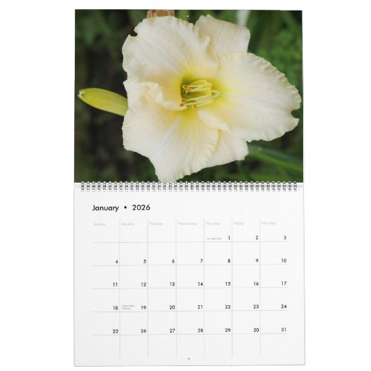 Blume 2011 kalender (Jan 2026)