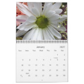 Blume 2013 Kalender (Jan 2027)