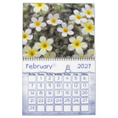 Blume 2013 kalender (Feb 2027)