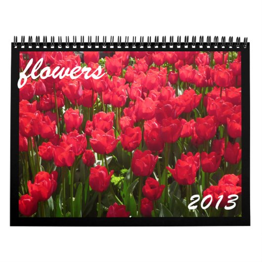Blume 2013 kalender (Titelbild)